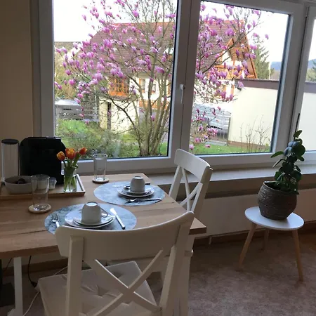 Ferienzimmer Pudelwohl Проживание в семье Kleinheubach